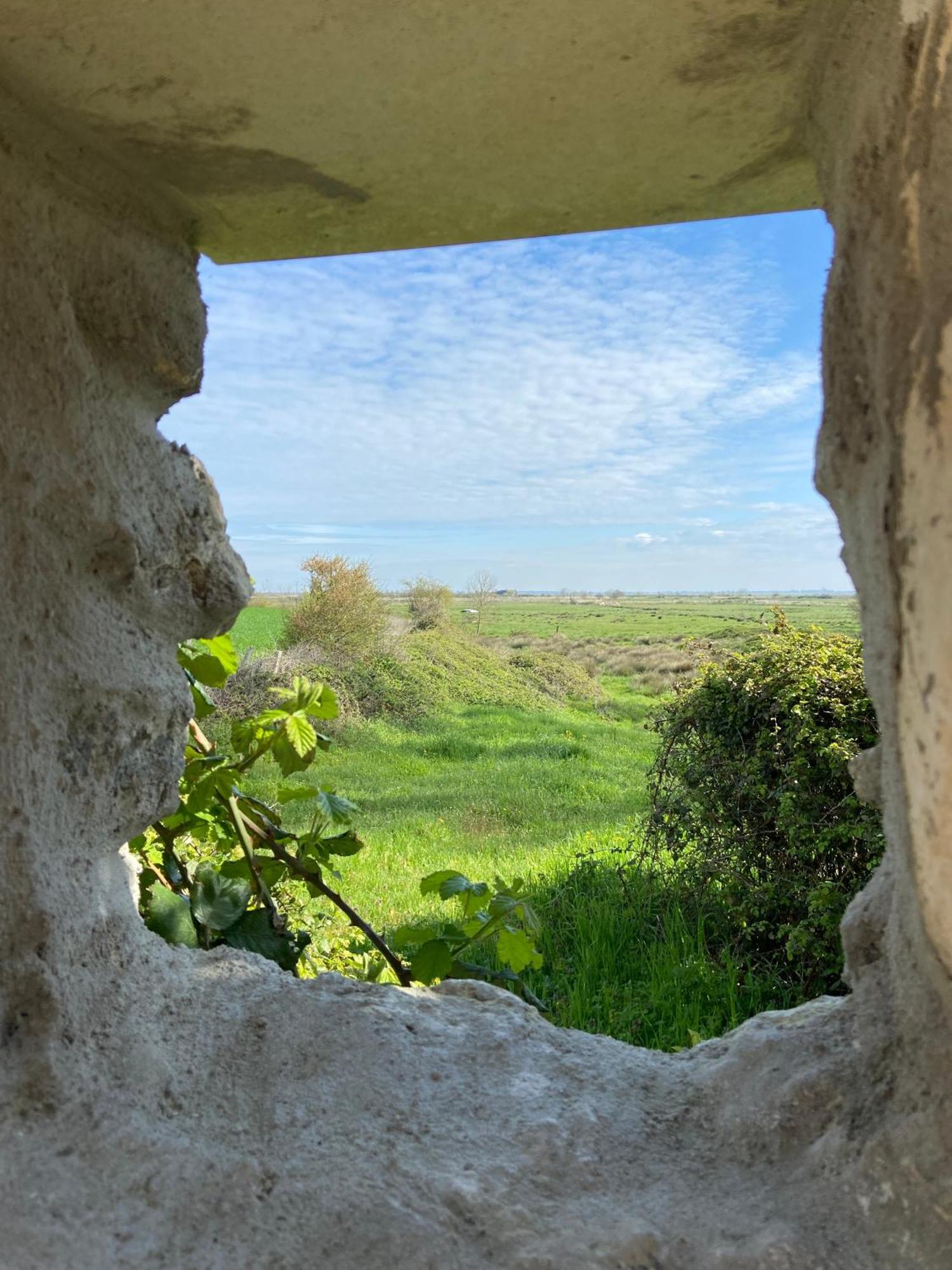 Chateau De Feusse Saint-Just-Luzac
